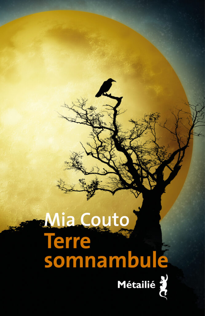 Couverture Terre somnambule